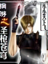 网游之圣枪苍穹小说