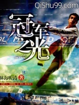 冠军之光小说