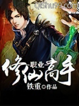 职业修仙高手小说