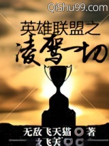 英雄联盟之凌驾一切小说