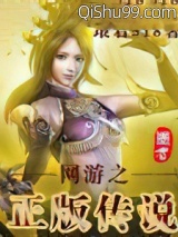 网游之正版传说小说