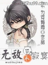 无敌不寂寞小说