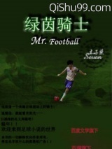 绿茵骑士小说