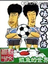 球场上的生活小说