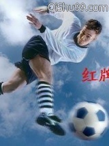 红牌罚下小说