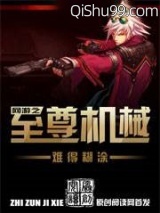 DNF之至尊机械小说