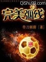 完美弧线小说