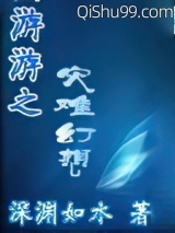 网游之灾难幻想小说