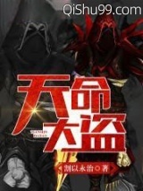 天命大盗小说