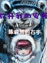 放开我的安妮小说