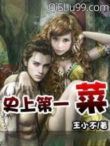 史上第一菜小说