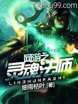 网游之灵魂法师小说