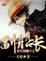 重生海贼王之副船长小说