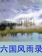 六国风雨录小说