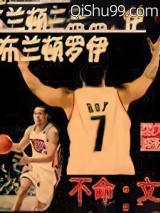 我是布兰顿罗伊小说