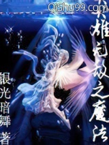 英雄无敌之魔法小说