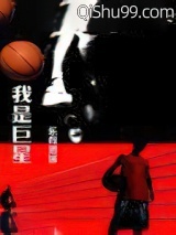 我是巨星小说