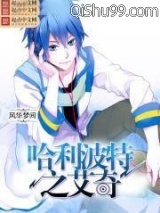 哈利波特之艾奇小说