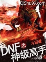 DNF之神级高手小说
