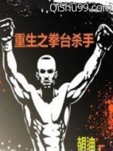 重生之拳台杀手小说
