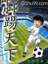 脚踢天下小说