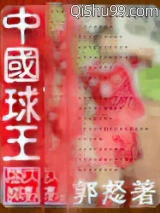 中国球王小说