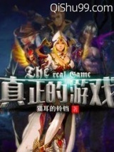 真正的游戏小说
