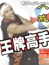 王牌高手小说