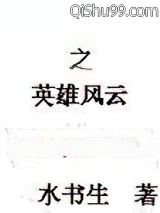武林之英雄风云小说