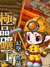 极品矿工小说