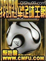 我的冠军足球王朝小说