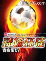 球场狂徒小说
