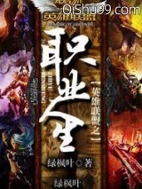 英雄联盟之职业人生小说