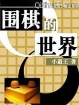 围棋的世界小说