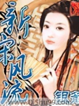 新宋风流小说