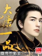大唐一品小说