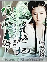 傻瓜王爷穿越妃小说