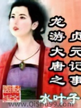 龙游大唐之贞元记事小说