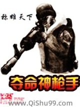 夺命神枪手小说