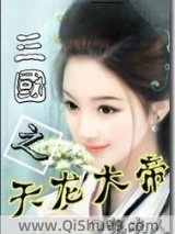 三国之天龙大帝小说
