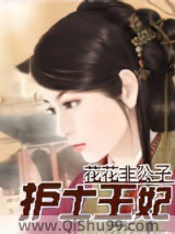 护士王妃小说