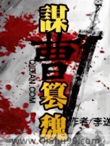 谋曹篡魏小说