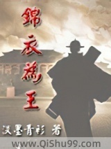 锦衣为王小说