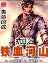抗日之铁血河山小说
