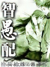 智愚配小说