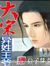 大宋异姓王爷小说