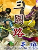 三国路小说
