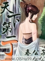 天下第一丁小说