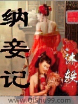 纳妾记小说