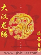 大汉龙腾小说